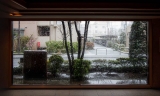 HARUO
