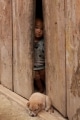 小林民子