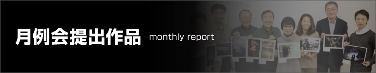 MonthlyReport