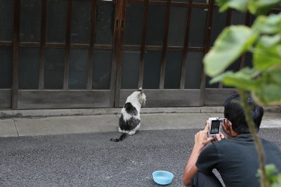 キヤノンフォトクラブ 東京INFINITY（インフィニティ）の画像